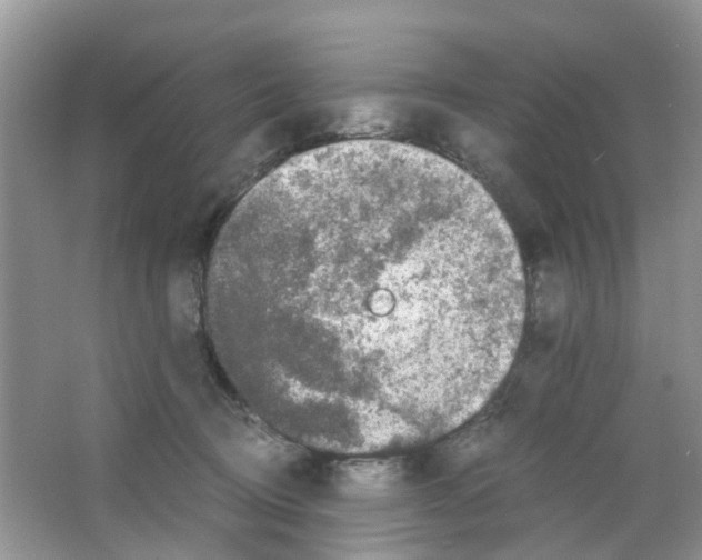 X0000063500370200602172125