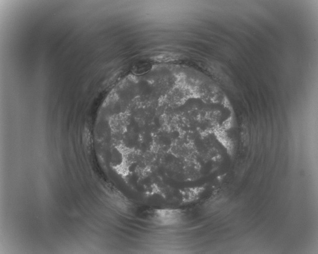 X0000063500371200602172125