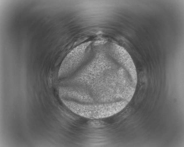 X0000063500372200602172125