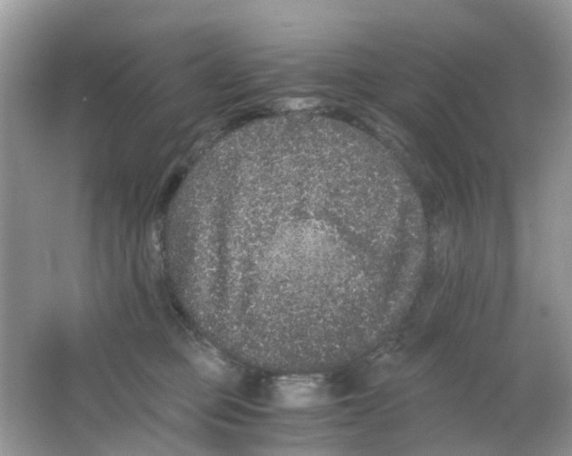 X0000063500373200602172125