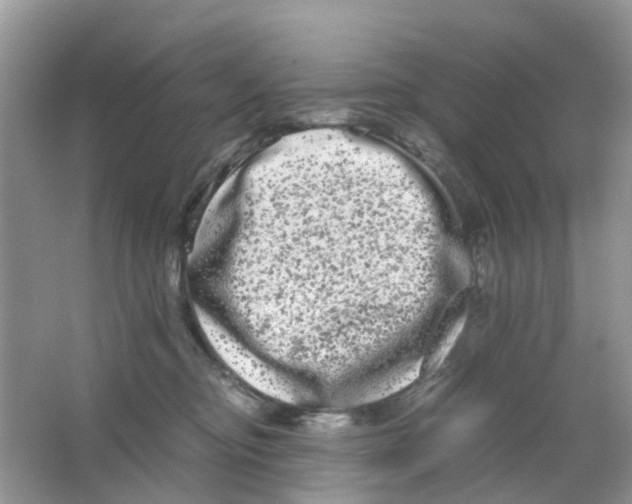 X0000063500374200602172125