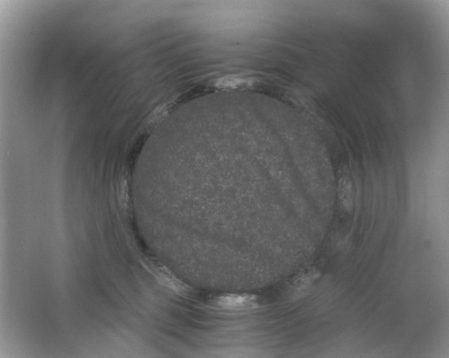 X0000063500375200602172125