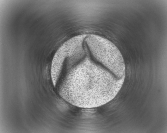 X0000063500378200602172125