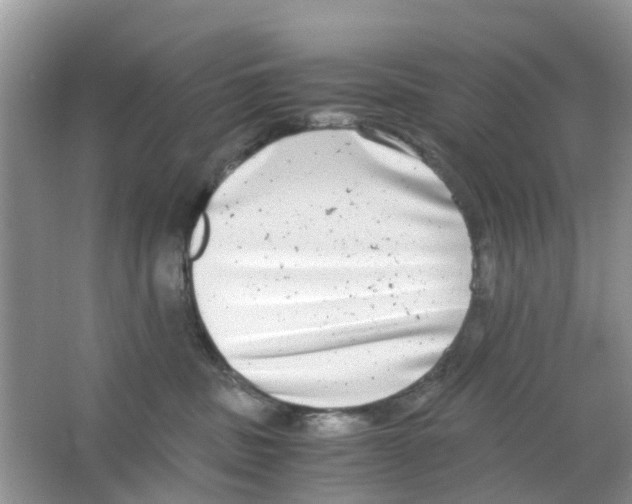 X0000063500379200602172125