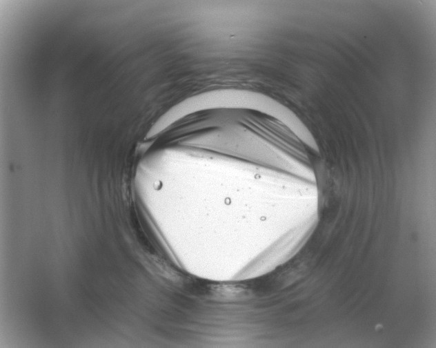 X0000063500380200602172125