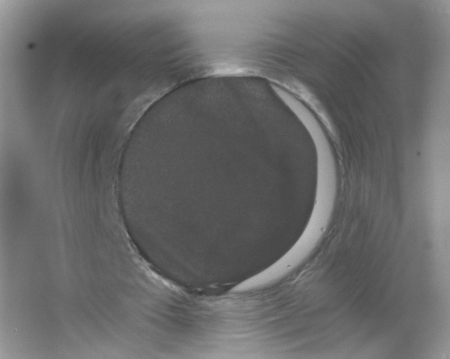 X0000063500385200602172125