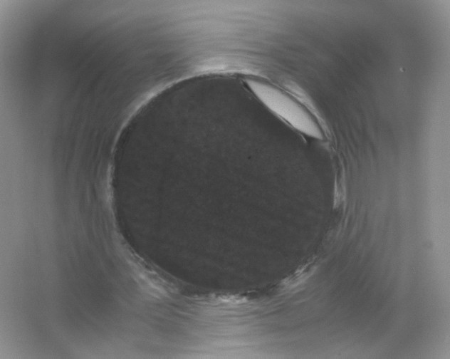 X0000063500387200602172125