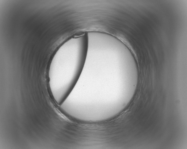 X0000063500389200602172125