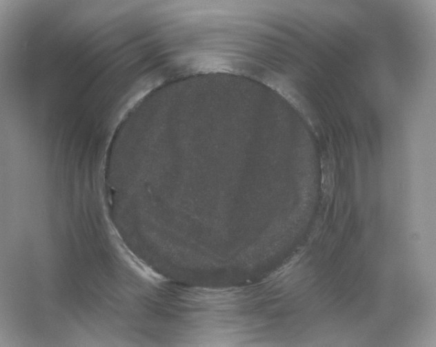 X0000063500390200602172125