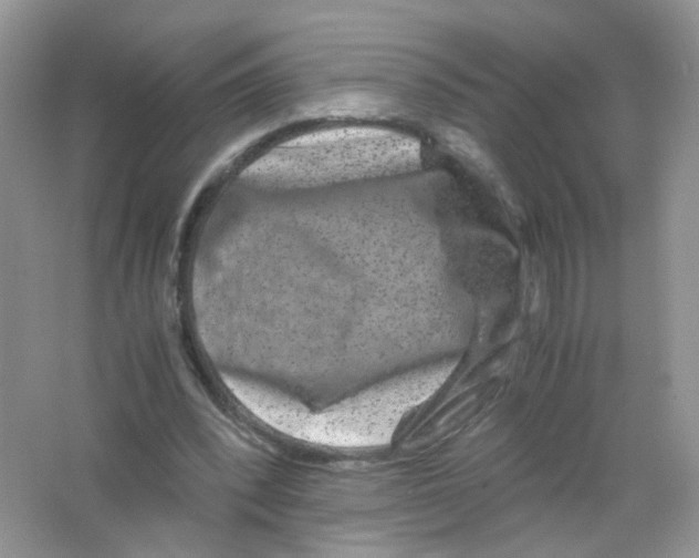 X0000063500392200602172124