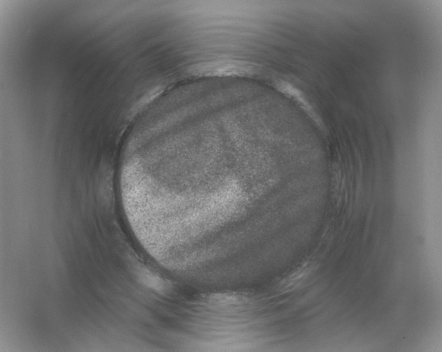 X0000063500394200602172124