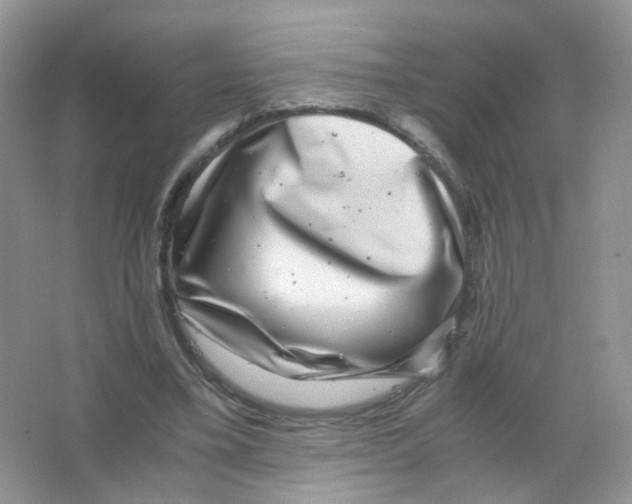 X0000063500395200602172124