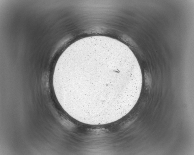 X0000063500396200602172124