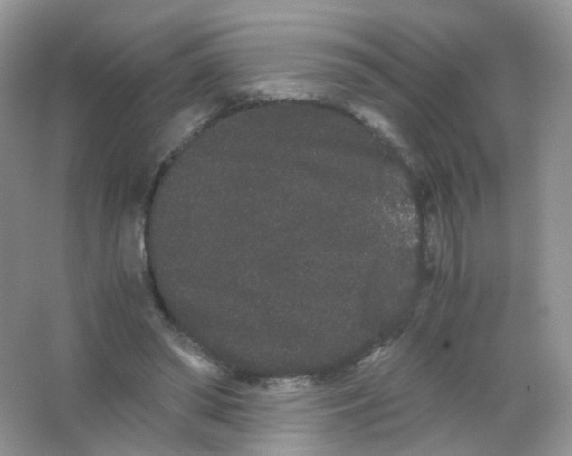 X0000063500398200602172124