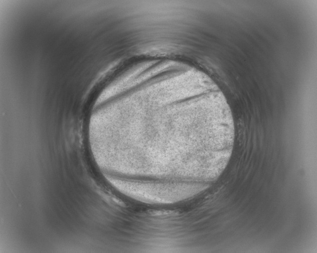 X0000063500400200602172124