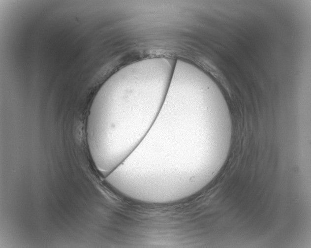 X0000063500401200602172124