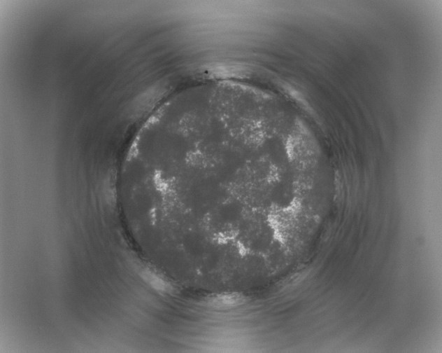 X0000063500402200602172124