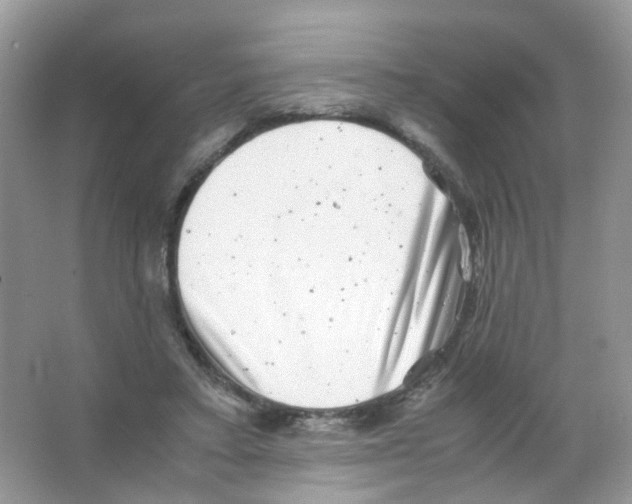 X0000063500403200602172124