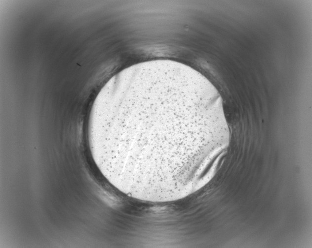 X0000063500406200602172124