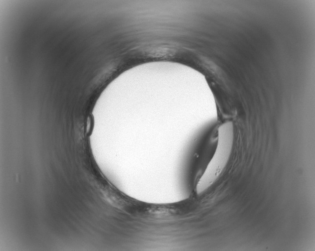 X0000063500407200602172124