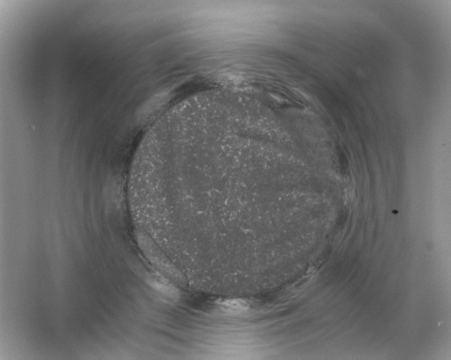 X0000063500409200602172124