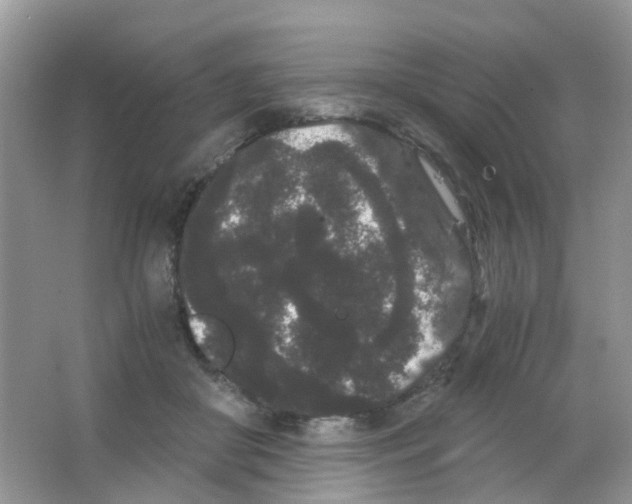 X0000063500410200602172124