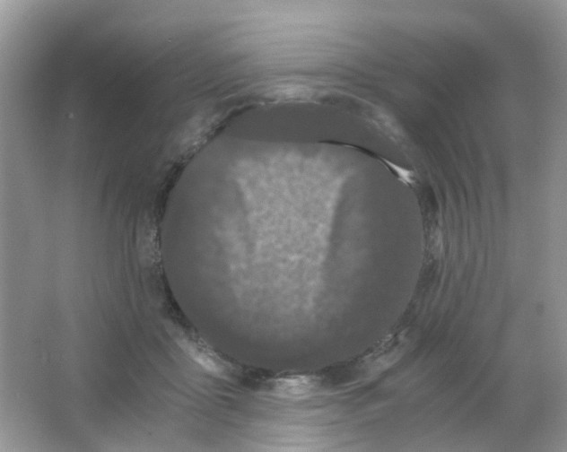 X0000063500411200602172124