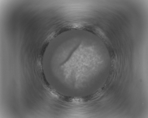 X0000063500415200602172124