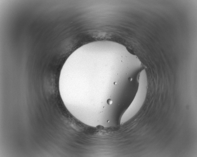 X0000063500416200602172124