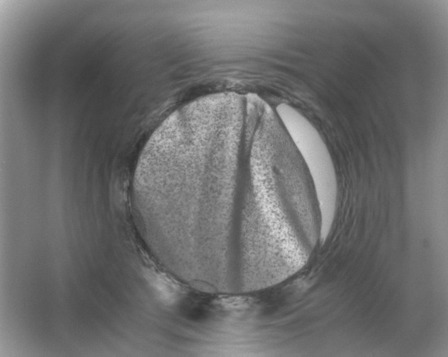 X0000063500417200602172124