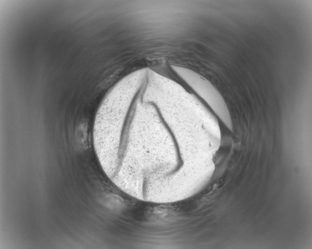 X0000063500420200602172124