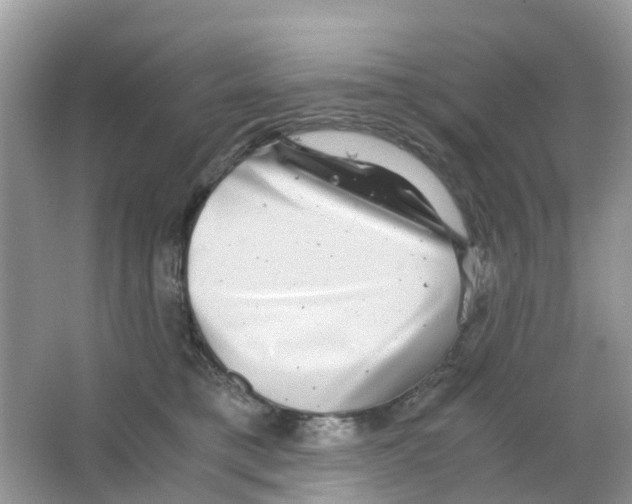 X0000063500421200602172124