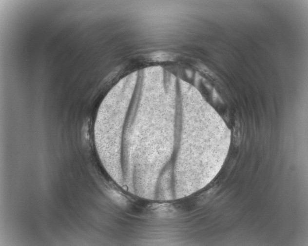 X0000063500424200602172124