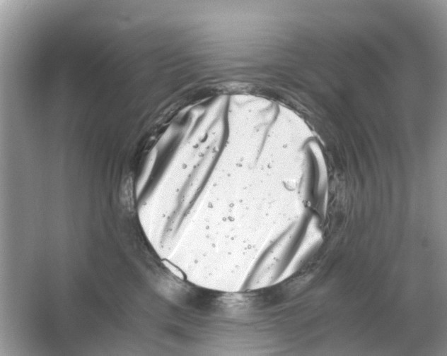 X0000063500425200602172124