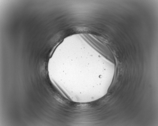 X0000063500428200602172124