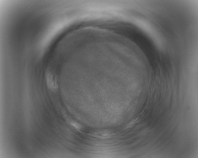 X0000063500431200602172124