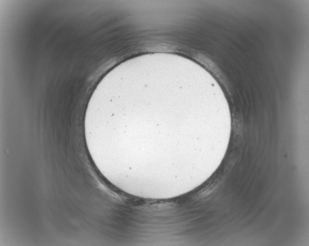 X0000063500433200602172123