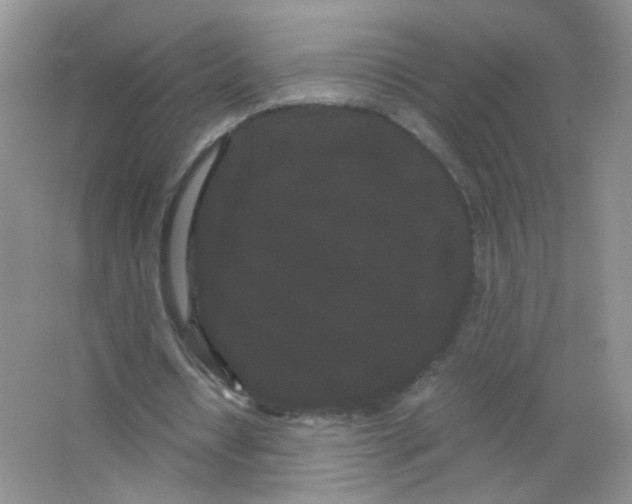 X0000063500434200602172123