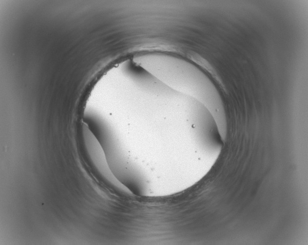 X0000063500436200602172123