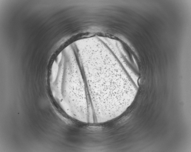 X0000063500437200602172123