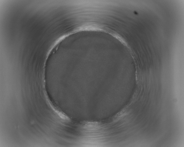 X0000063500438200602172123