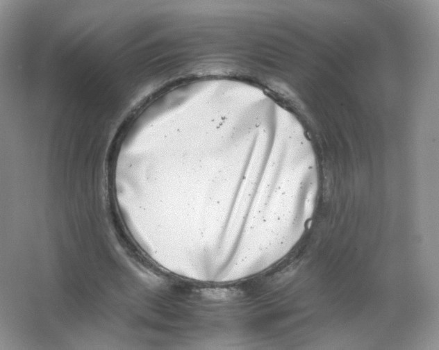 X0000063500439200602172123