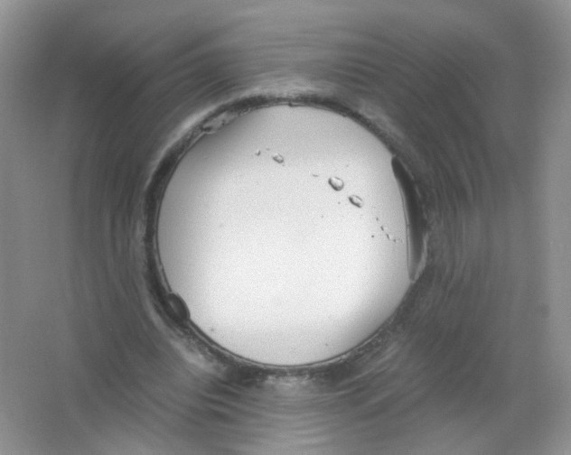 X0000063500440200602172123