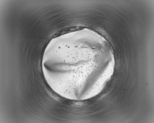 X0000063500441200602172123