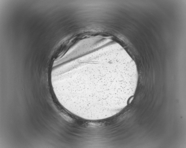 X0000063500442200602172123