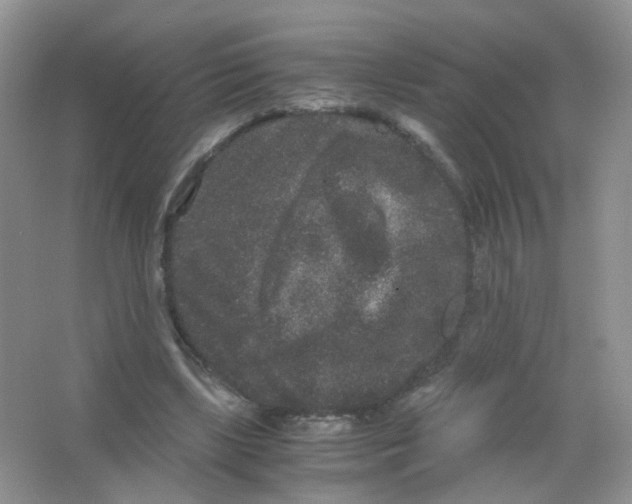 X0000063500443200602172123