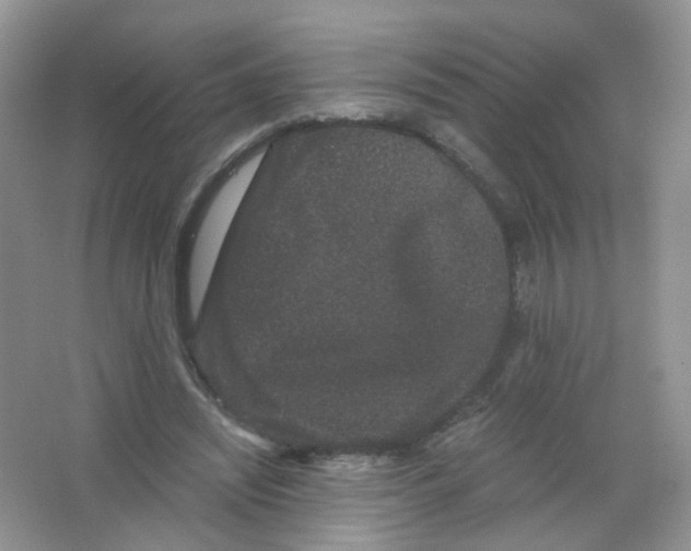 X0000063500444200602172123