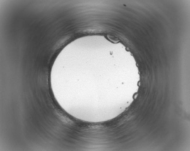 X0000063500446200602172123