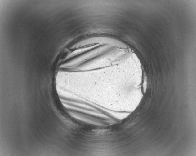 X0000063500448200602172123