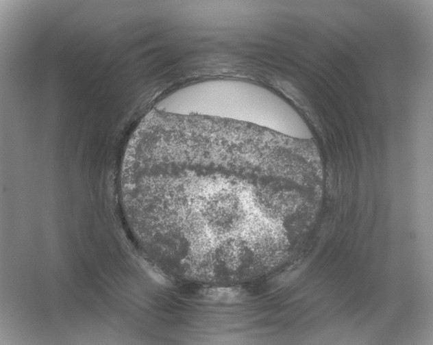 X0000063500449200602172123